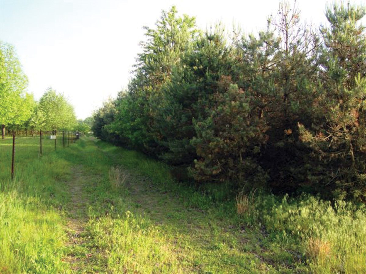 Property photo 1 - 10 Acre Building Site Real Estate Auction